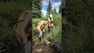 This Could Be Your Job