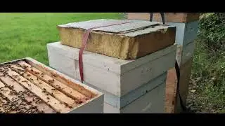Super Colony Secrets: The Art of Box Swapping