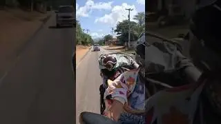 La perra viajera que demostr&oacute; que no hay l&iacute;mites ❤️