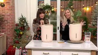 Homedics Natura Top Fill Ultrasonic 1.3G Humidifier with Planter on QVC