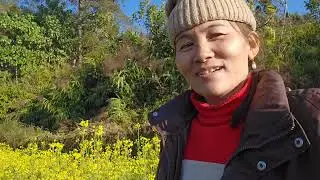 Beautiful village vlog||Thingepur phakphokthum,Ilam