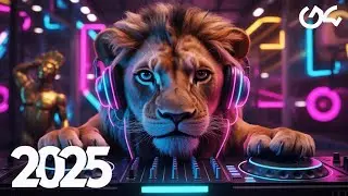 Top EDM 2026 Mix | High Energy Remixes & Mashups
