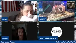 Chipmunks and Chatter! #LIVE! Wednesday furries & friends!