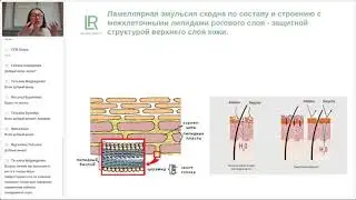 LR ALOE VIA Интенсивный крем для тела