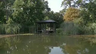 Badów latem