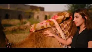 Camel Through The Eye of a Needle