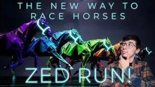 ZED RUN: VIRTUAL HORSE BETTING IS HERE