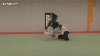Aikido - Shomen Uchi Sumi Otoshi