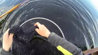 Buzzer fishing on Lough Corrib - Sheet of glass...