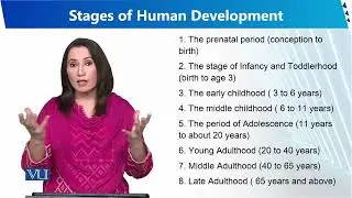 Stages of Human Development | Human Development and Learning | EDU302_Topic017