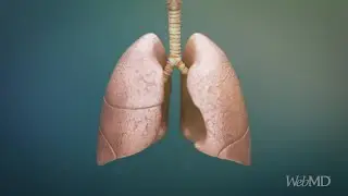 What COPD Does to Your Lungs | WebMD
