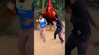 They Didn&rsquo;t See the Chicks &mdash; What Happened Next Was CRAZY 😱🐓