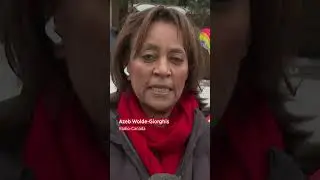 Minneapolis residents react to fatal shooting of woman by ICE agent