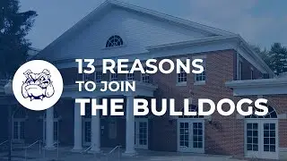 13 Reasons to join the Poland Bulldogs