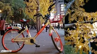 Smartisan Nut Pro 2 Official Camera Samples