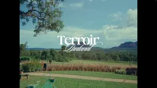 TERROIR PANTANAL
