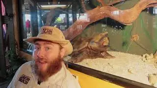 GatorBeach Educational Video