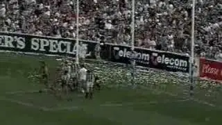Carlton Silvagni mark