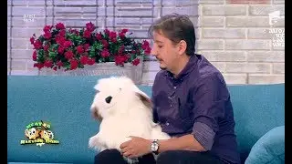 Ventrilocul Eduard Sandu şi-a luat câine de la iUmor