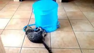 Chat surprise!!!!