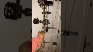 #psearchery #archery #bowhunting #psebrute #hunting #humor #hunt #targetpractice #viralvideo #shorts