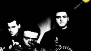 Botany 5 - Nature Boy (7 Inch Mix) (Audio)