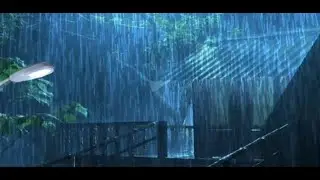Real Rain on Hothouse Roof 🌧️ 3 Hours for Sleep, Relaxation & Study | CalmLoop