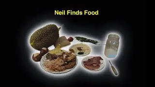 Neil Finds Food | Documentary Short Film