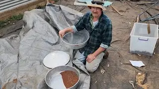 Dan cleaning Eucalypt seed for Seeding Victoria