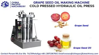 Grapeseed Oil Hydraulic Oil Press Machine|Grapeseed Oil Production|Grape Seed Oil Press|Oil Expeller