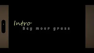 Intro seymour glass