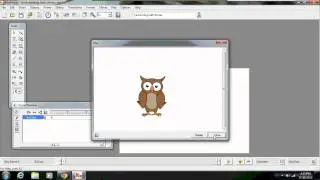 Alvin the Owl Koolmoves Demonstration