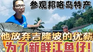 江鱼仔加工厂，竟然没有苍蝇飞来飞去，怎么可能？ @everyone