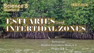 SCIENCE 5 – QUARTER 2 – Week 5 & 6 │ ESTUARIES and INTERTIDAL ZONES │ DepEd Commons Module 6
