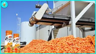 Unbelievable ! How To Produce 67 Billion Liters Of Carrot Juice - Carrot Processing Plant