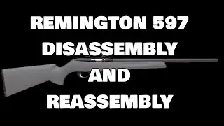 Разборка и сборка Remington 597 #разборка #сборка #remington #plink #firearmsafety