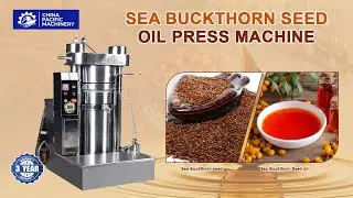 Seabuckthorn Oil Press Machine|Cold Oil Press Machine|Cold Pressed Sea Buckthorn Seed Oil|Oil Plant