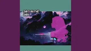 Shot In The Dark