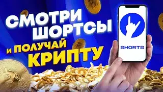 Короткие видео (Coub) в телеграмм с оплатой в крипте за просмотры, партнерство с NOT!