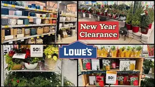 Садовый магазин Lowe&rsquo;s: Новогодняя распродажа комнатных растений - вечнозеленые растения - кустар...