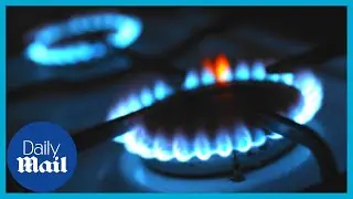 Cost of living: Britons struggling to pay fuel bills as huge price spike looms, says Citizens Advice