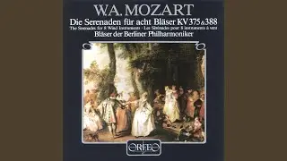 Serenade No. 11 in E-Flat Major, K. 375: V. Finale: Allegro
