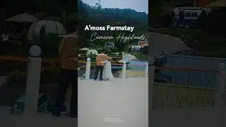📍A'moss Farmstay @ Cameron Highlands♾️/10 for the View 📷Glass Mirror Dome 🛖15 &deg;c ❄️ #cameronhighland