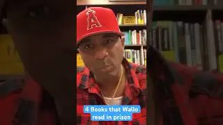 4 Books that Wallo from Million Dollaz Worth of Game Read