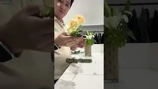 Vase Arrangement