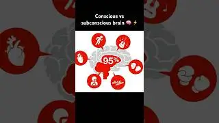 Conscious vs subconscious brain 🧠⚡️ #science #neuroscience #education