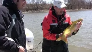 How to Catch Channel Catfish using Cut Bait