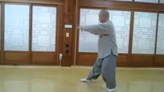 Tai chi Yang Style 49 Form 가가스님