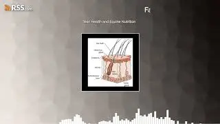 Skin Health and Equine Nutrition