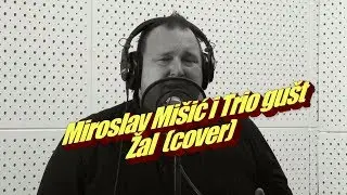 Miroslav Mišić i Trio gušt  - Žal (cover)